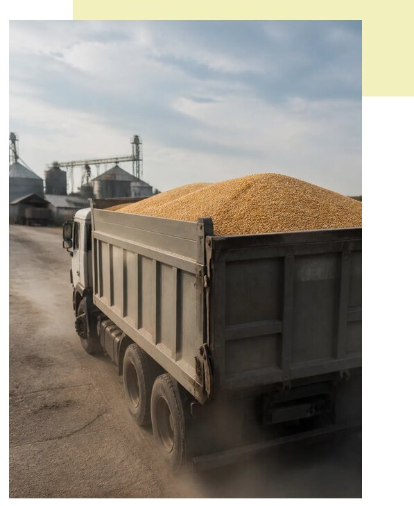 Перевозка сельхозпродукции навалом в Большую Камень по цене от 3042 р. | Агросервис-Бль