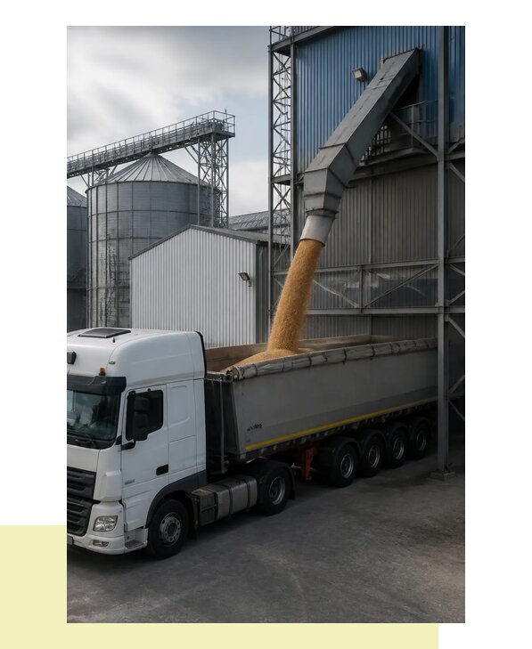 Перевозка зерна зерновозами в Большую Камень с доставкой по России